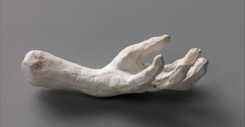 Flayed Hand Hand