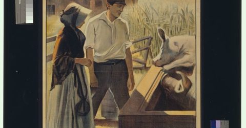 A married farmer couple, man and woman, stand together and regard a couple of pigs at the trough with a farmhouse in the background.