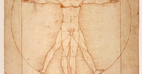 Leonardo da Vinci's drawing of a man within a circle and a square to demonstrate proportion.