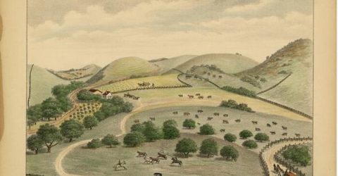 This hand-painted lithograph created in the 1880s depicts a cattle ranch in Central California.